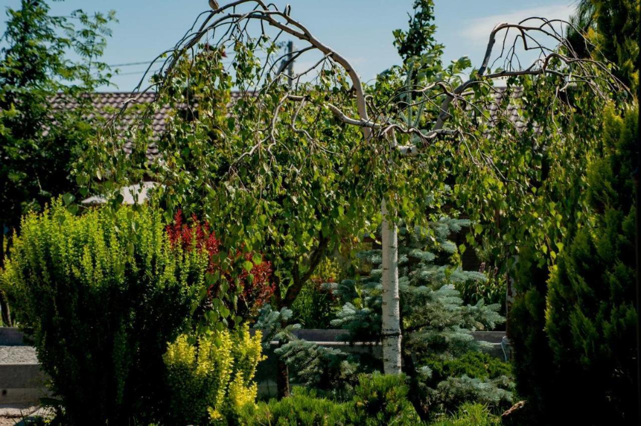 Villa Grand Family Rozhny Kültér fotó